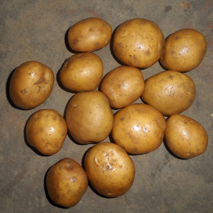 Granola Fresh Potatoes